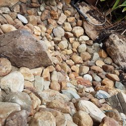 Western Landscape Supplies - Artificial Turf - Ransome, QLD