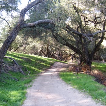 Whiting Ranch Wilderness Park - Serrano Cow Trail - Parks Near Me - Foothill Ranch, California Whiting Ranch Wilderness Park - Serrano Cow Trail - Parks Near Me - Foothill Ranch, California