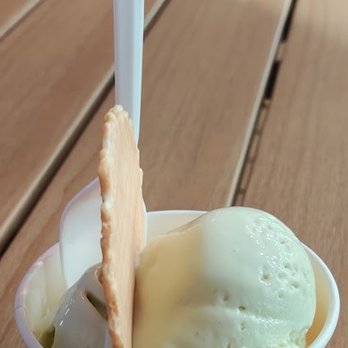The Yogo - My cup of Honey Avocado and Refreshing Coconut - Desserts Near Me - San Diego, California The Yogo - My cup of Honey Avocado and Refreshing Coconut - Desserts Near Me - San Diego, California