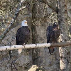 Roger Williams Park Zoo