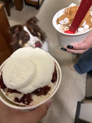 The Scoop N Scootery by null