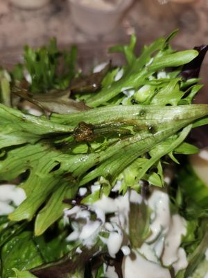 BB's Crispy Chicken by null