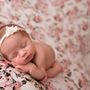Photo of Lollipop Woods Photography