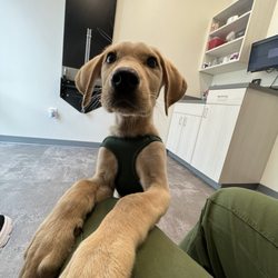 Kindred Heart Animal Hospital