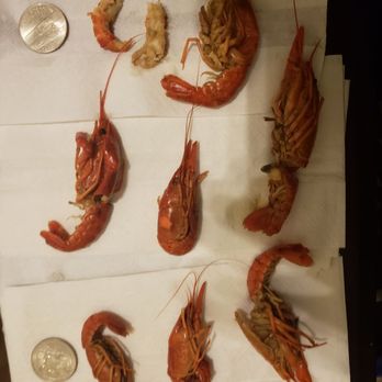 Cajunland Seafood - Cajun/Creole Near Me - Gretna, Louisiana