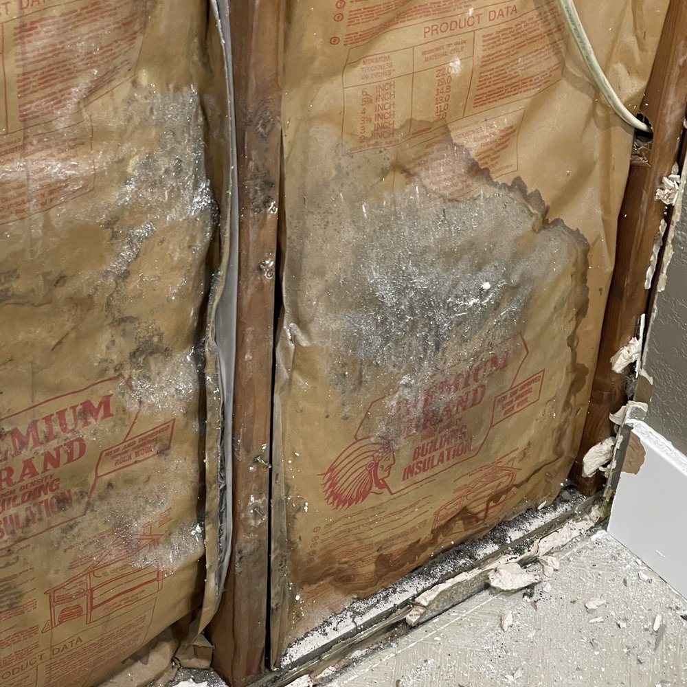 24H Mold Inspection - Mold found in kitchen after testing indicated there was no mold. - Home Inspectors Near Me - Los Angeles, California