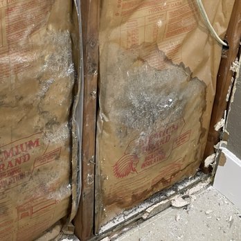 24H Mold Inspection - Mold found in kitchen after testing indicated there was no mold. - Home Inspectors Near Me - Los Angeles, California 24H Mold Inspection - Mold found in kitchen after testing indicated there was no mold. - Home Inspectors Near Me - Los Angeles, California