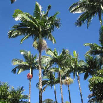 Entabeni Cottage - Vacation Rentals Near Me - Hana, Hawaii Entabeni Cottage - Vacation Rentals Near Me - Hana, Hawaii