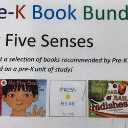 Brooklyn Public Library - Canarsie Library - One of the Pre-K Book Bundles