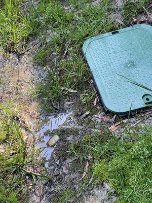 New Leaf Landscaping