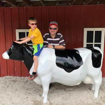 Blank Park Zoo - the big cow - Zoos Near Me - Des Moines, Iowa Blank Park Zoo - the big cow - Zoos Near Me - Des Moines, Iowa