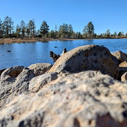 Northwoods Cabins