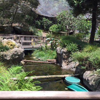 CuriOdyssey - Outdoor zoo - Zoos Near Me - San Mateo, California