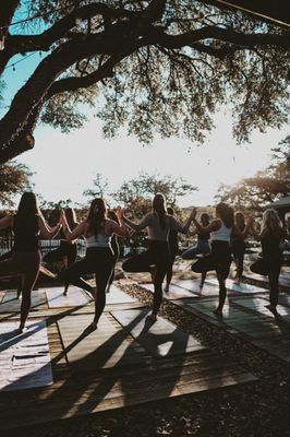 Wild Heart Yoga by null