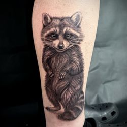 Raccoon tattoo
