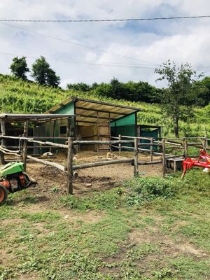 Podere Còncori by null