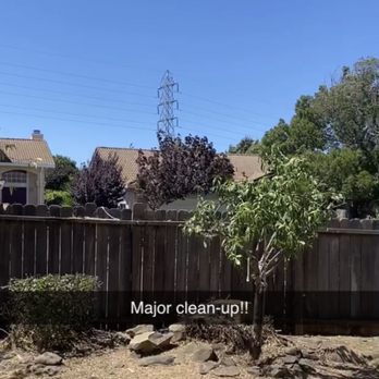Ortega Landscaping - Trimmed trees. - Landscaping Near Me Ortega Landscaping - Trimmed trees. - Landscaping Near Me