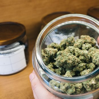 Electric Lettuce - Stop in and smell the flower! - Cannabis Dispensaries Near Me - Oregon City, Oregon Electric Lettuce - Stop in and smell the flower! - Cannabis Dispensaries Near Me - Oregon City, Oregon