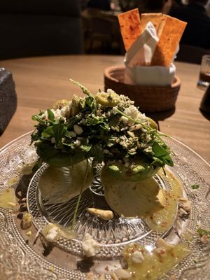 ANIMAL Tijuana by null