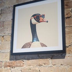 WIld Wing