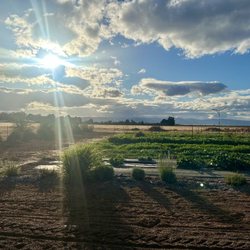 Hooby's Brewing Farm