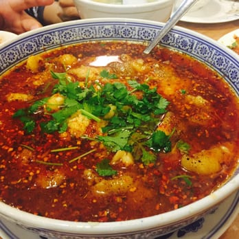 Panda Gourmet - Fish in hot chili oil Much try Sze Chuan style. A bit too salty, not too spicy!!! Love it! - Szechuan Near Me - Washington, DC, District of Columbia Panda Gourmet - Fish in hot chili oil Much try Sze Chuan style. A bit too salty, not too spicy!!! Love it! - Szechuan Near Me - Washington, DC, District of Columbia