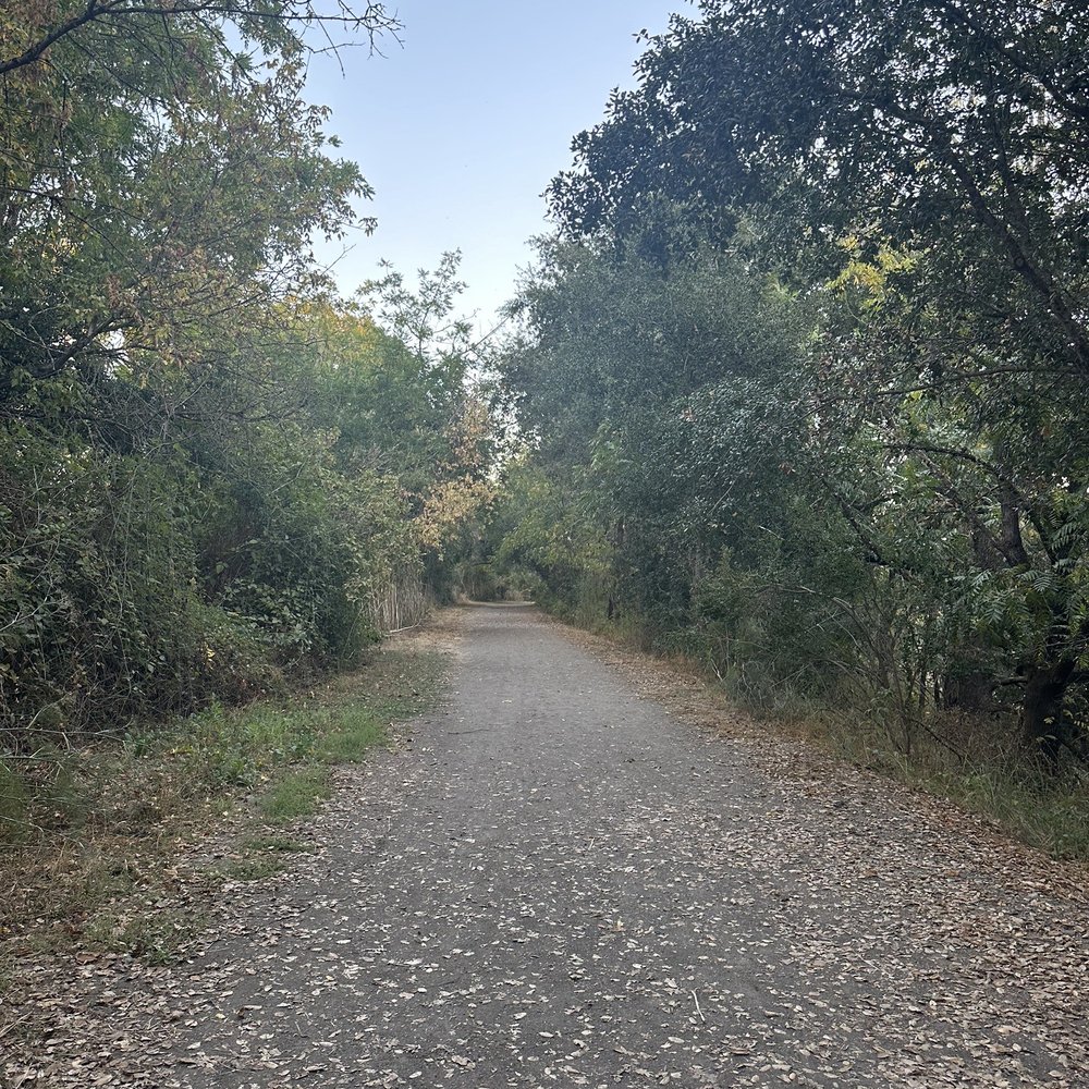 Riverfront Regional Park - Trail - Parks Near Me - Healdsburg, California