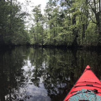 Coastal Expeditions - Tours Near Me - Mount Pleasant, South Carolina