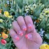 Capitol Nails  Salon gift card