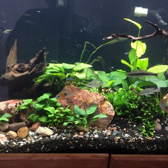 Reef Tropical Fish - Local Fish Stores Near Me - Anaheim, California