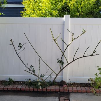 Ergeon - Fences & Gates Near Me - Sacramento, California Ergeon - Fences & Gates Near Me - Sacramento, California