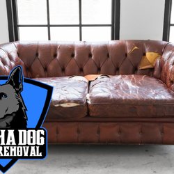 Alpha Dog Junk Removal