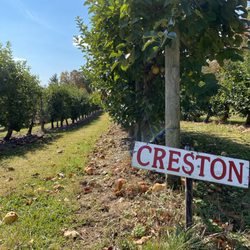 Horse Listeners Orchard - Creston Apple Row