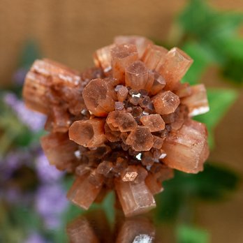 Dreaming Goddess - Raw Aragonite - Jewelry Near Me - Poughkeepsie, New York Dreaming Goddess - Raw Aragonite - Jewelry Near Me - Poughkeepsie, New York