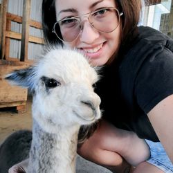 Kickin' Back Alpaca Ranch