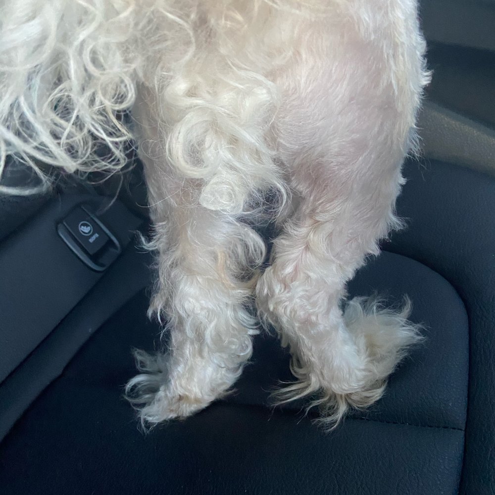 PetSmart - Pet Stores Near Me - Farmingdale, New York