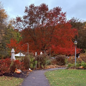 Glen Iris Inn - Outdoor seating area - Bed & Breakfast Near Me - Castile, New York