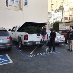 SF Public Montessori School Holiday Tree Lot - Delivery!