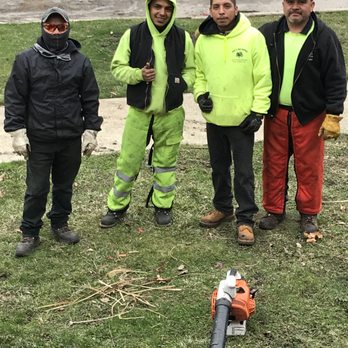 Jose's Tree Service - The smiling crew - Tree Services Near Me Jose's Tree Service - The smiling crew - Tree Services Near Me