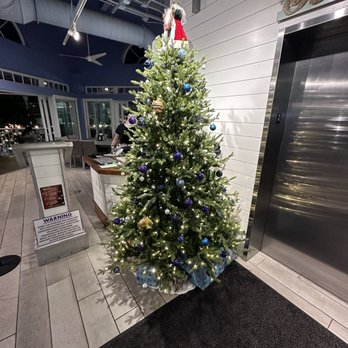 Daiquiri Deck - Christmas tree near the hostess station - Seafood Near Me - Bradenton Beach, Florida