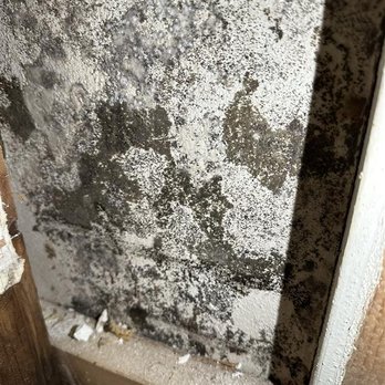 Alexander Realty - YEARS of mold damage - Real Estate Services Near Me - Saint Charles, Missouri