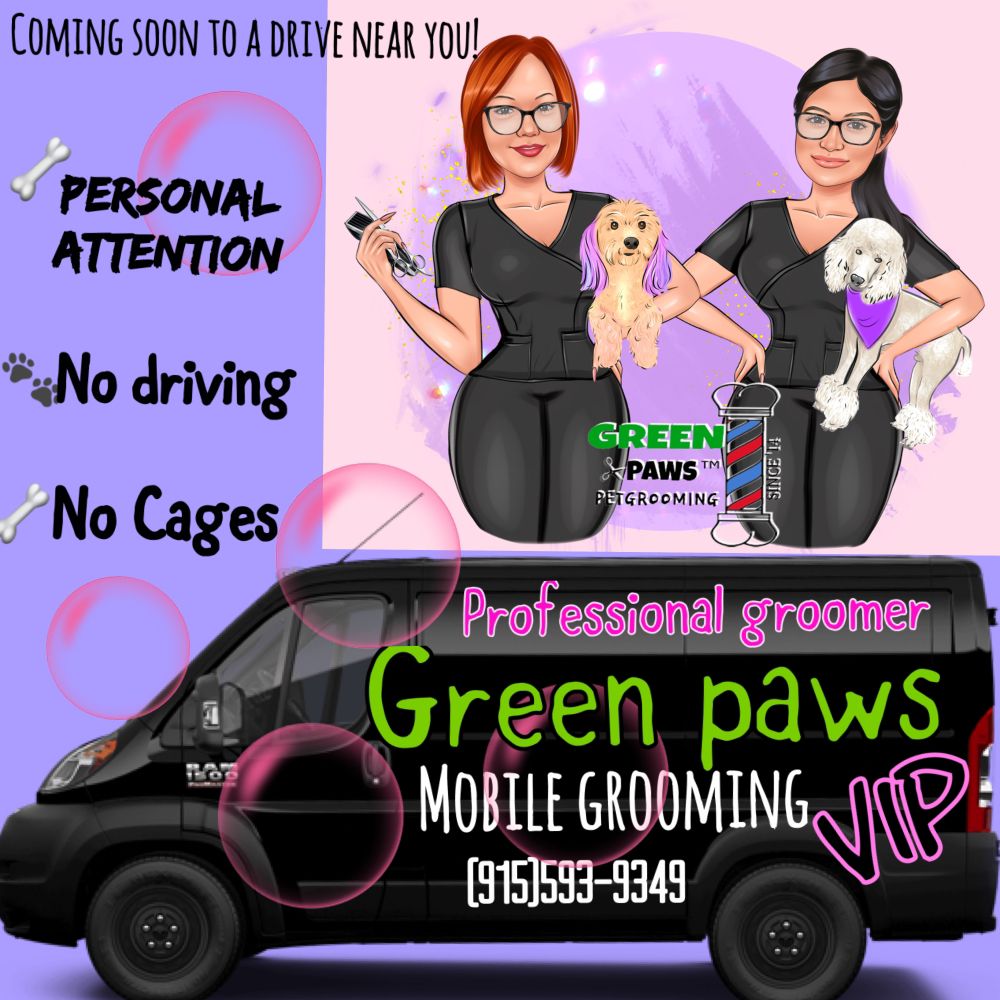GREEN PAWS MOBILE GROOMING Updated August 2024 El Paso, Texas Pet