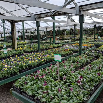 Flower World - Plants, plants and plants. - Nurseries & Gardening Near Me - Snohomish, Washington