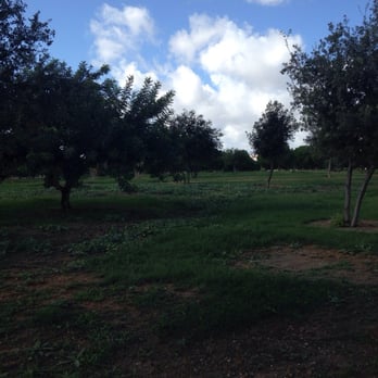 Parque del Tamarguillo - Parks Near Me - Seville, SE