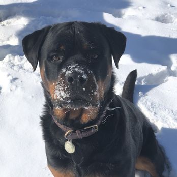Bow-Wow Barn - Pet Groomers Near Me - Sterling, Colorado