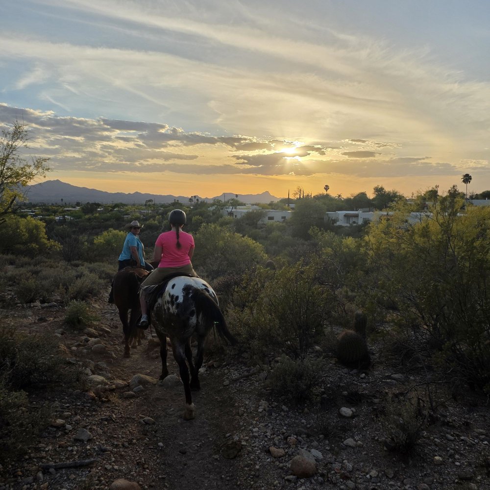 Tattered Saddle - Horseback Riding Near Me - Tucson, Arizona Tattered Saddle - Horseback Riding Near Me - Tucson, Arizona
