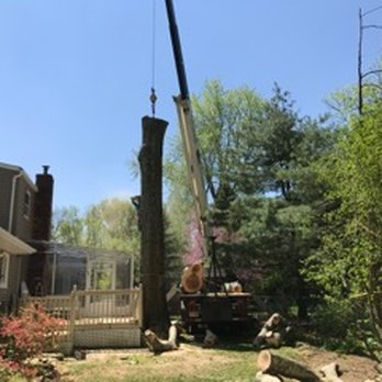 Jhonny's Tree Service - Tree Services Near Me - Flanders, New Jersey Jhonny's Tree Service - Tree Services Near Me - Flanders, New Jersey