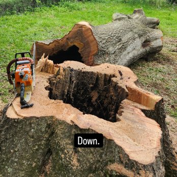 Dano's Treeworks - Tree Services Near Me