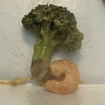 OMG Sushi - Close up of size of the shrimp compared to a piece of their unseasoned broccoli......I6 of these shrimp on a gallon of noodles.... Dont go - Sushi Bars Near Me - Newport News, Virginia OMG Sushi - Close up of size of the shrimp compared to a piece of their unseasoned broccoli......I6 of these shrimp on a gallon of noodles.... Dont go - Sushi Bars Near Me - Newport News, Virginia