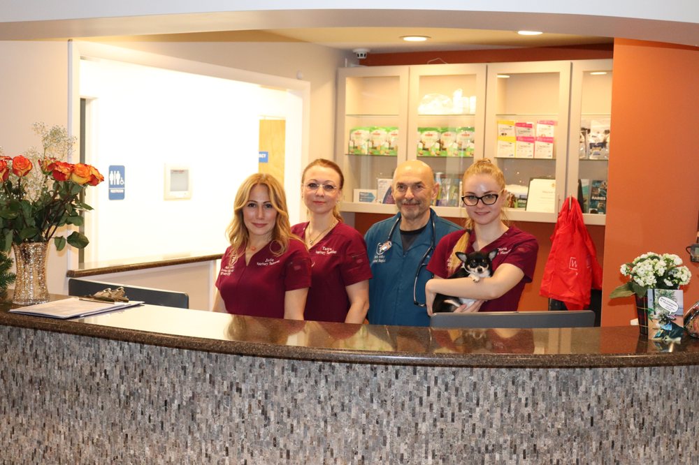 ANIMAL HOSPITAL OF PERTH AMBOY Updated September 2024 11 Reviews